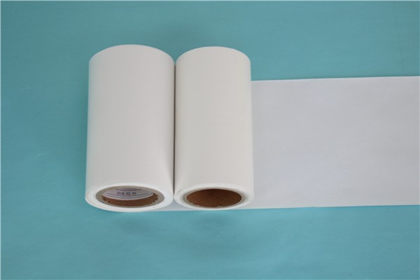 本白离型纸